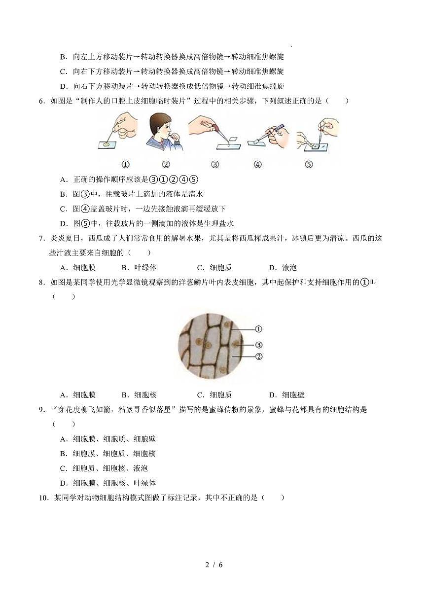 2025-2026学年上学期第一次月考七年级生物试卷含答案（人教）第2页
