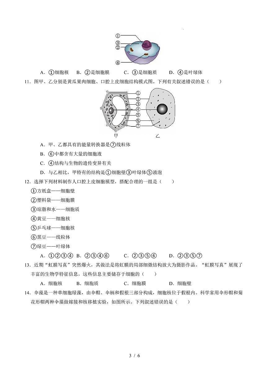 2025-2026学年上学期第一次月考七年级生物试卷含答案（人教）第3页