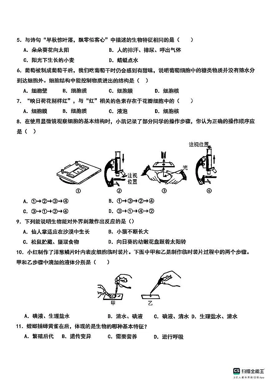安徽省蚌埠市怀远实验中学2024-2025学年七年级上学期第一次月考生物试卷(无答案)第2页