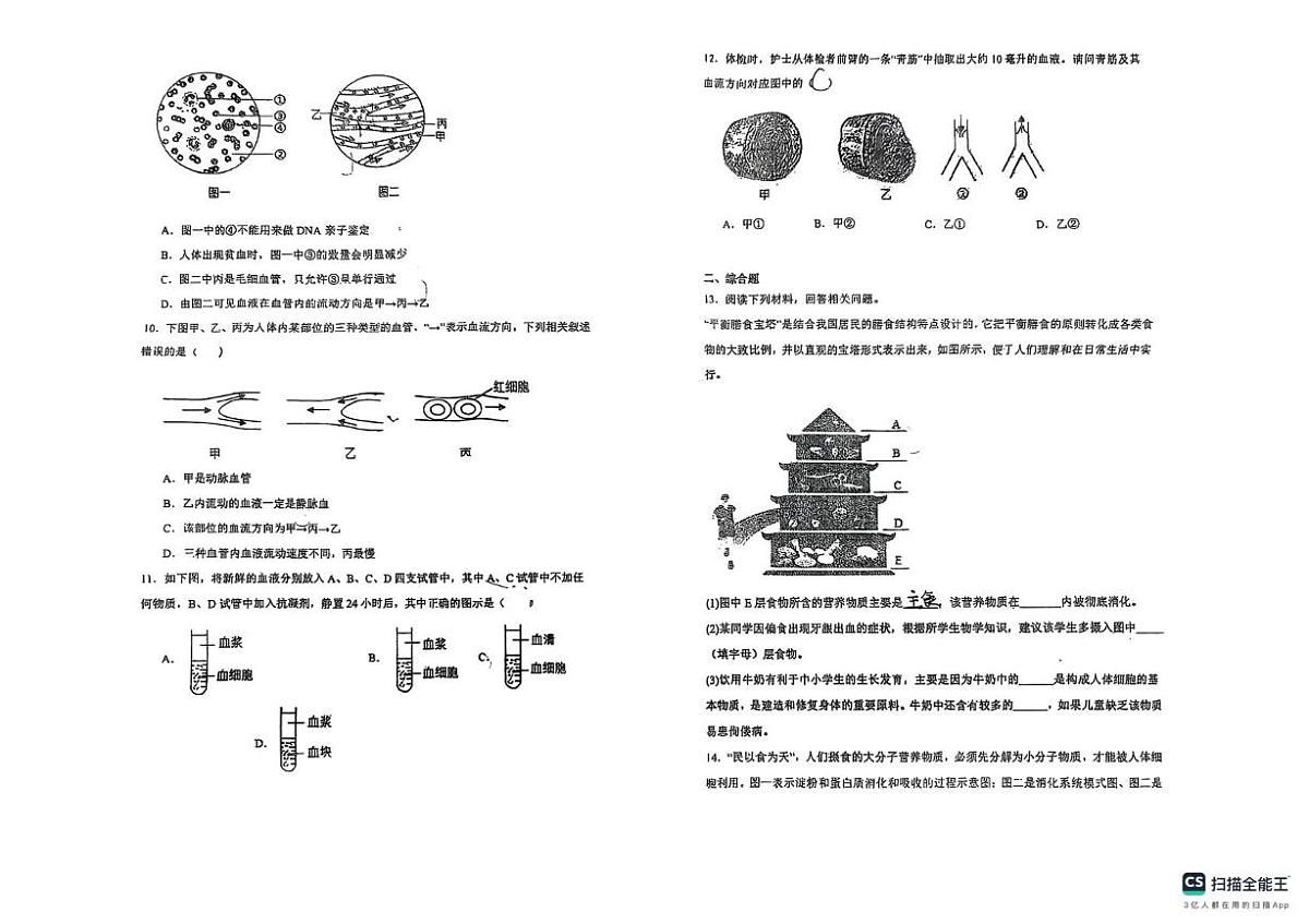 辽宁省沈阳市辽中区第二初级中学2025-2026学年八年级上学期阶段性调研生物试卷（月考）第2页
