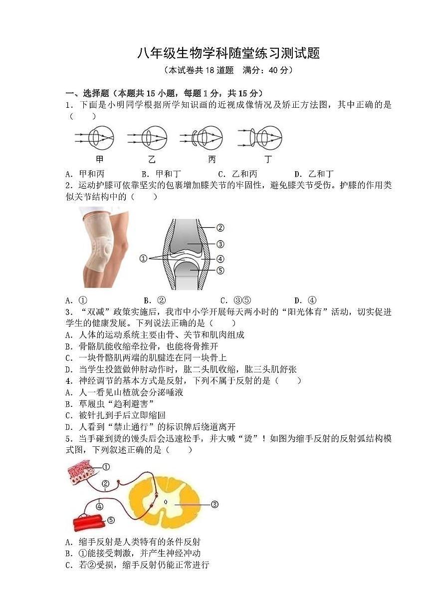 辽宁省葫芦岛市兴城市部分学校2025-2026学年八年级上学期随堂练习生物试卷（月考）第1页
