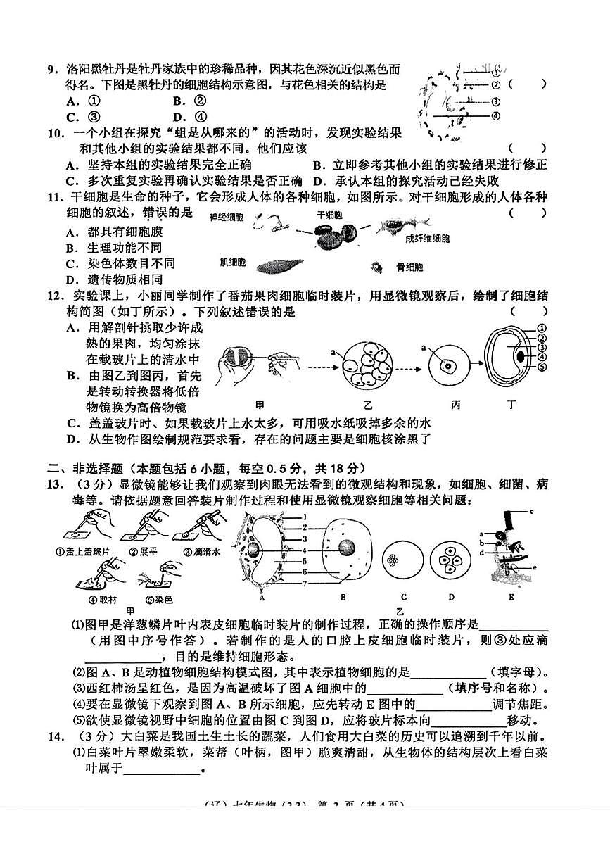 辽宁省辽阳市多校2025-2026学年七年级上学期10月联考生物试题（月考）第2页
