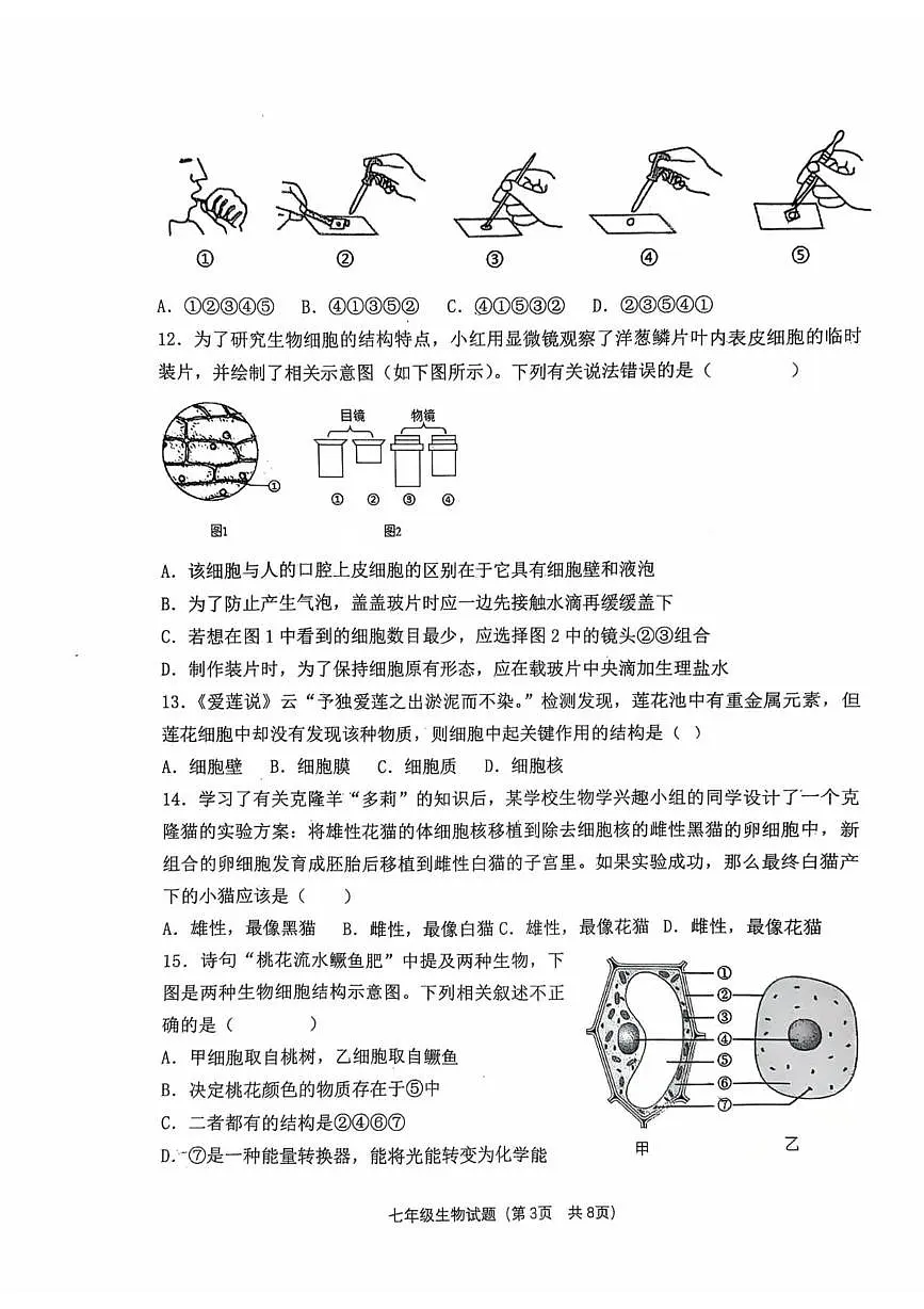 山东省聊城市经济开发区2025-2026学年七年级上学期第一次巩固练习生物试题（月考）(0001)第3页