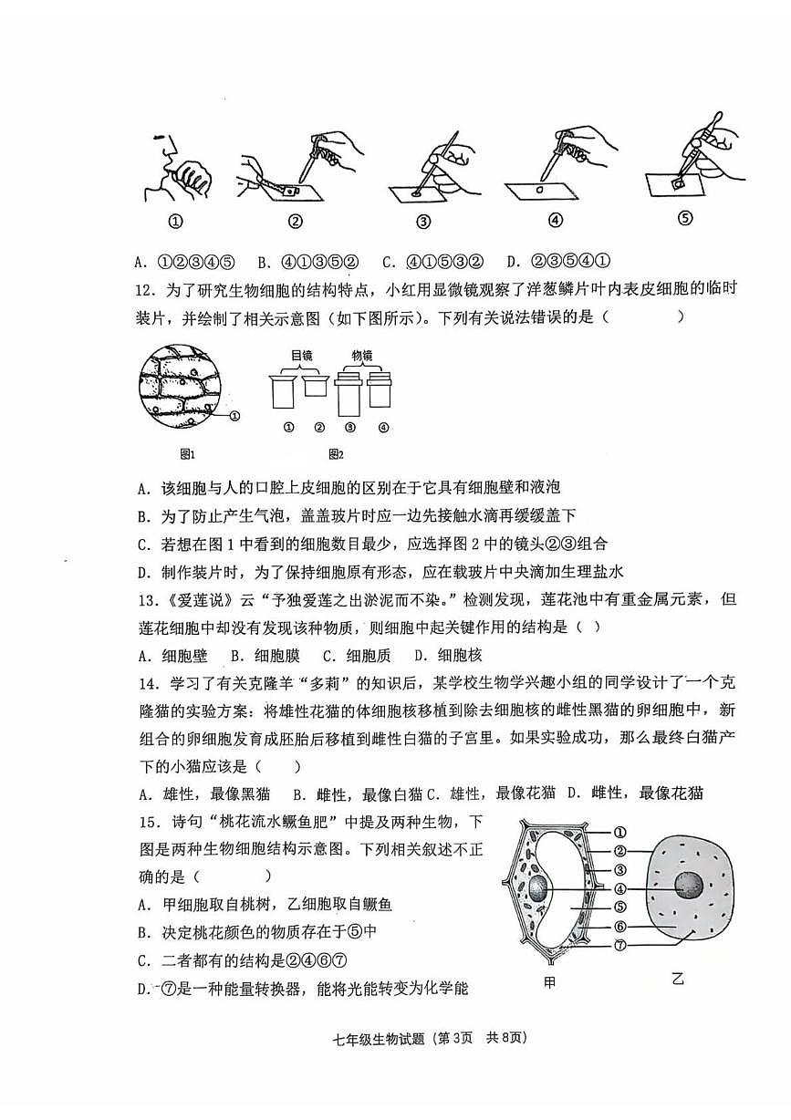 山东省聊城市经济开发区2025-2026学年七年级上学期第一次巩固练习生物试题第3页
