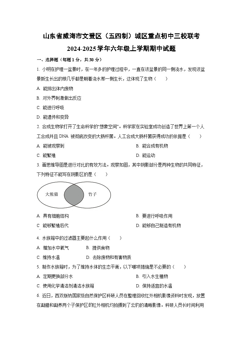 山东省威海市文登区（五四制）城区重点初中三校联考2024-2025学年六年级上学期期中生物试卷（学生版）第1页