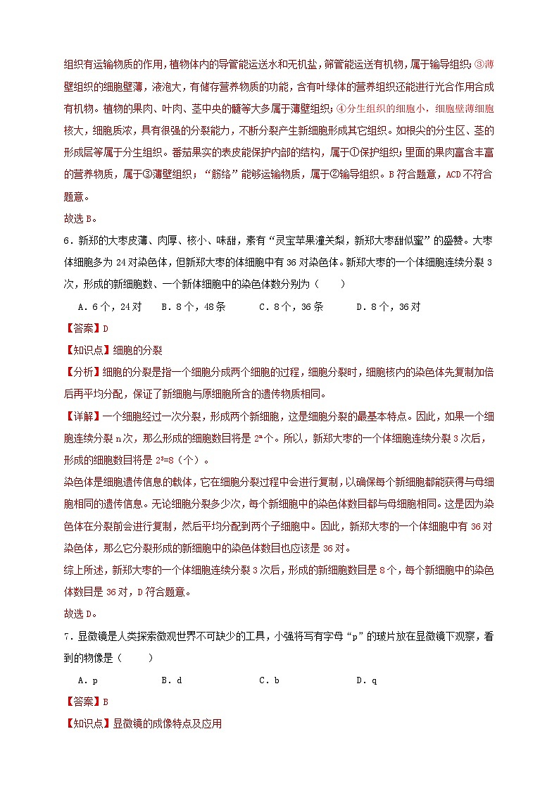 2025秋（冀少版）生物七年级上册期中试卷（解析版）第3页