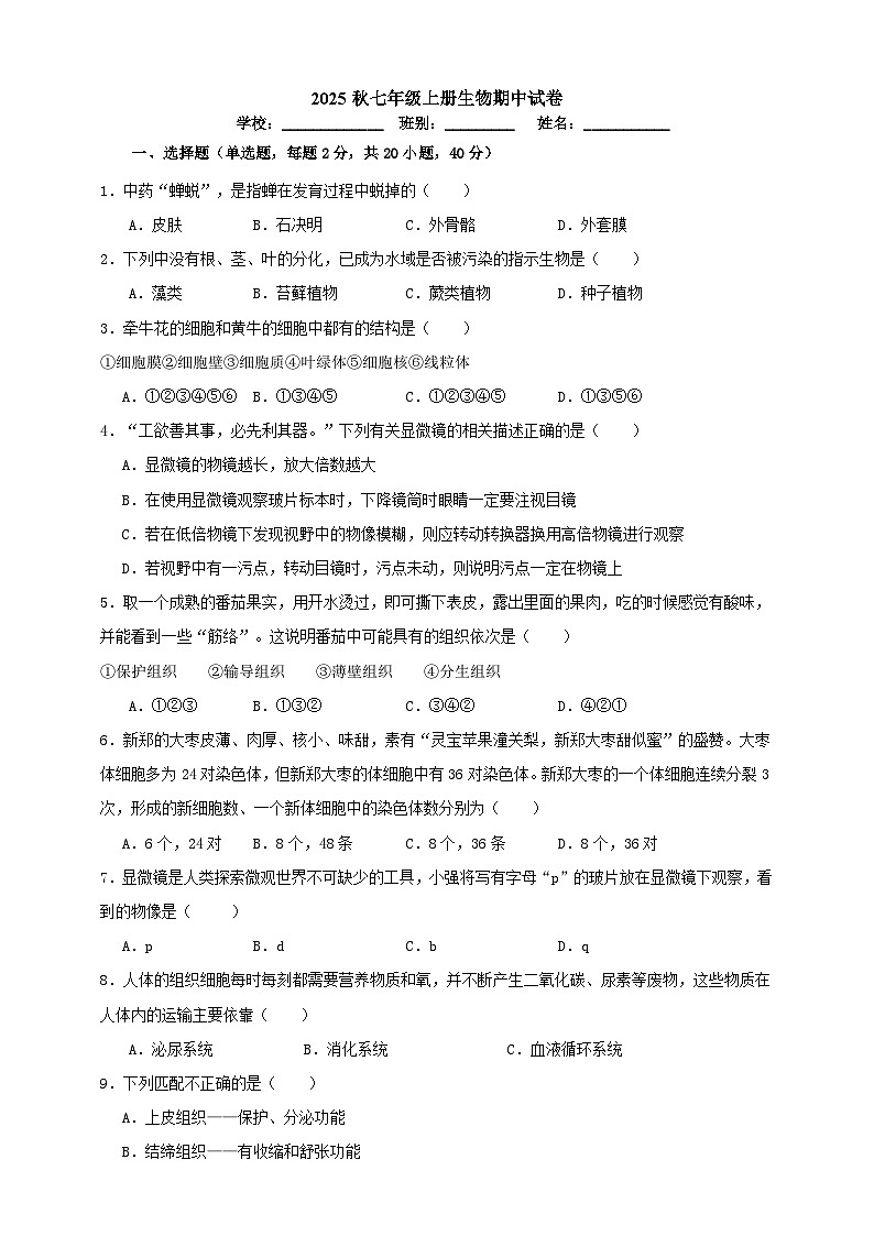 2025秋（冀少版）生物七年级上册期中试卷（原卷版）第1页
