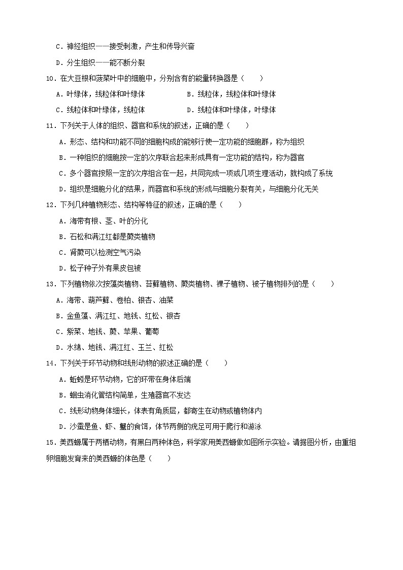 2025秋（冀少版）生物七年级上册期中试卷（原卷版）第2页
