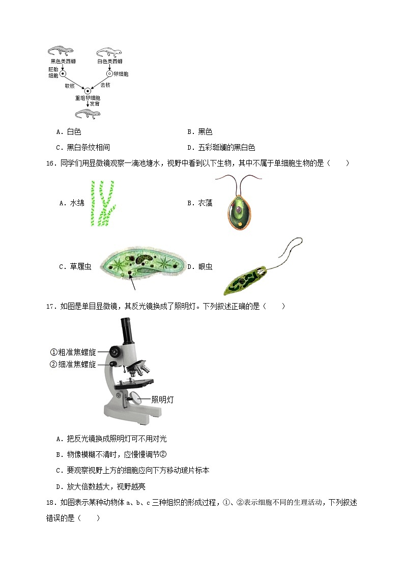 2025秋（冀少版）生物七年级上册期中试卷（原卷版）第3页