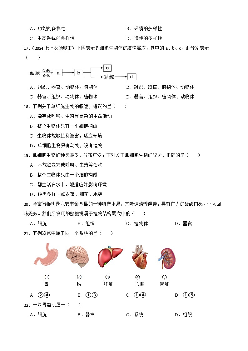 2025秋北师大版八年级生物上册期中综合评价试题(学生版)第3页