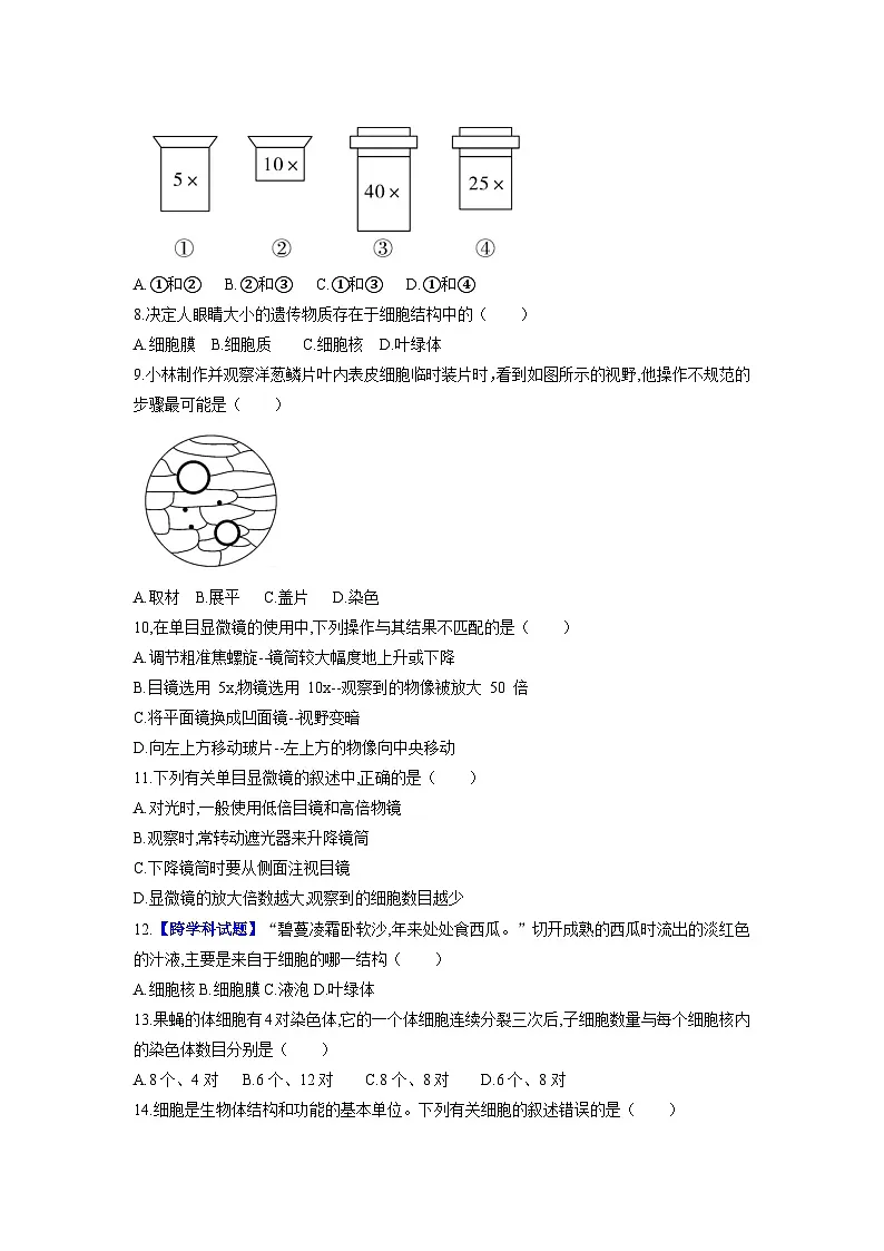 2025秋人教版生物七年级上册期中试卷（学生版）第2页