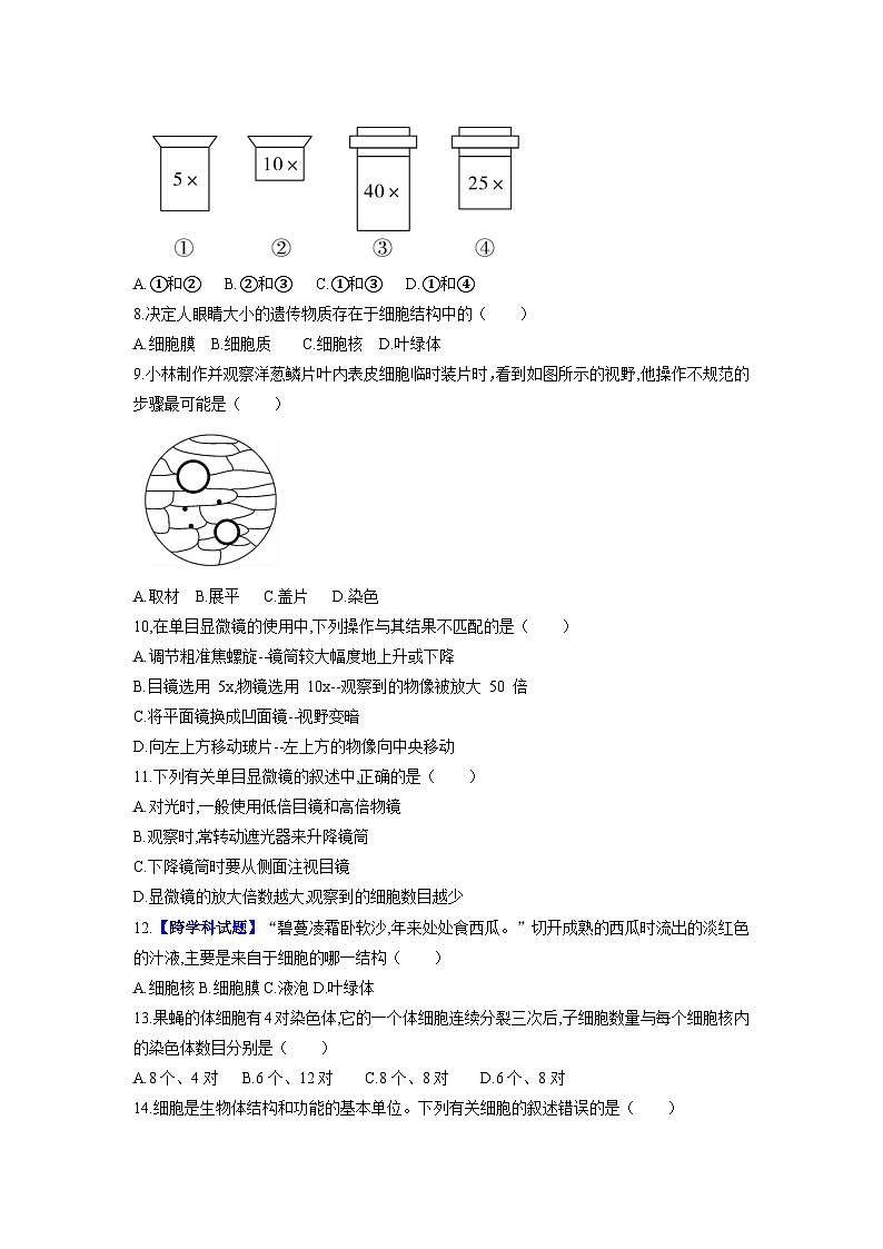 2025秋人教版生物七年级上册期中试卷（学生版）第2页