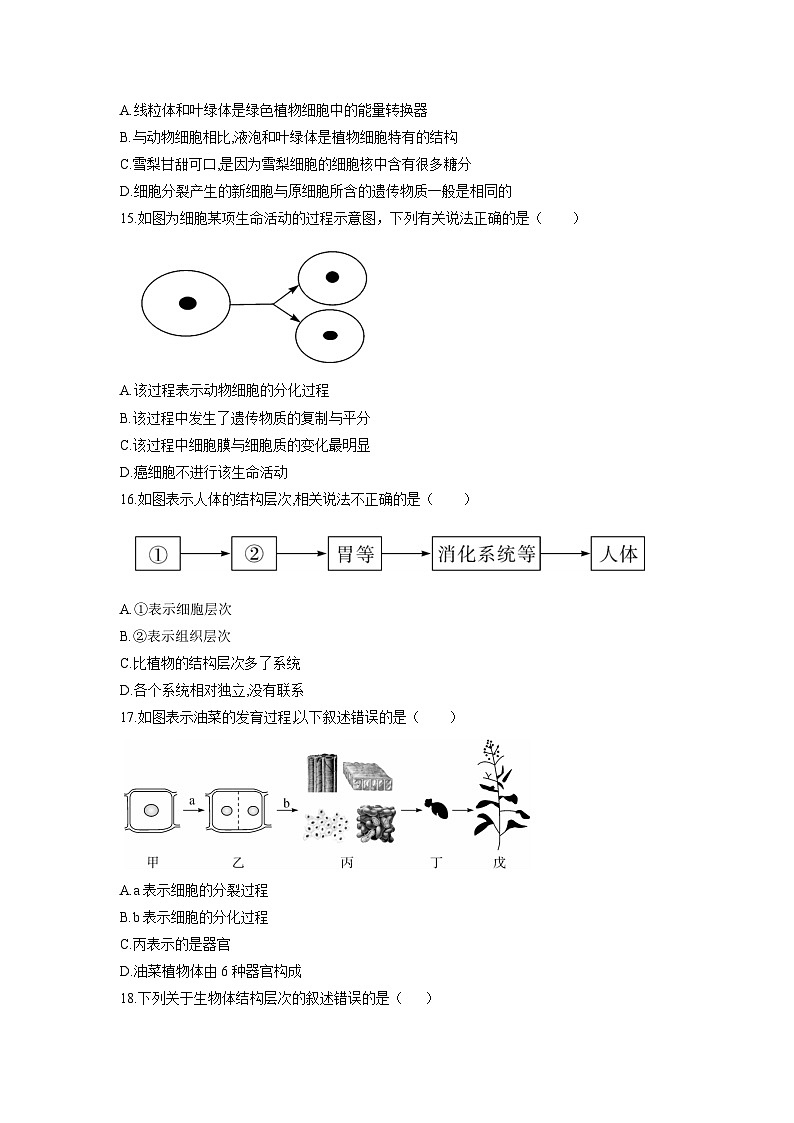 2025秋人教版生物七年级上册期中试卷（学生版）第3页