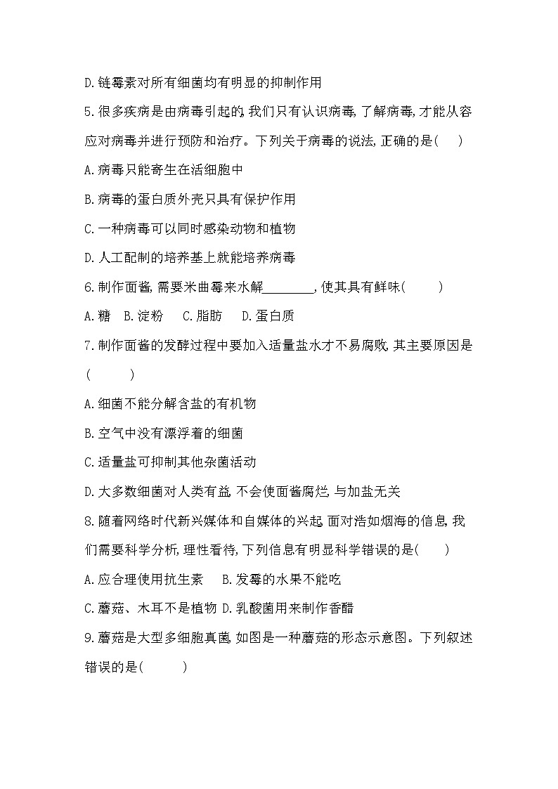 2025秋北师大版八年级生物上册期中综合评价试卷（含答案）第2页