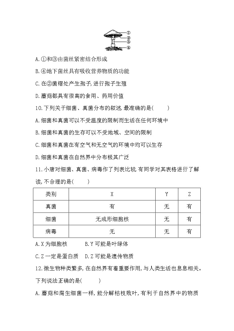 2025秋北师大版八年级生物上册期中综合评价试卷（含答案）第3页