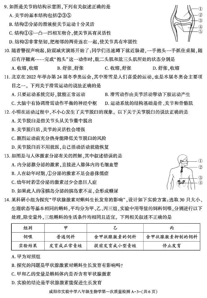 陕西省咸阳市实验中学2025-2026学年八年级上学期第一次质量检测生物试卷第3页