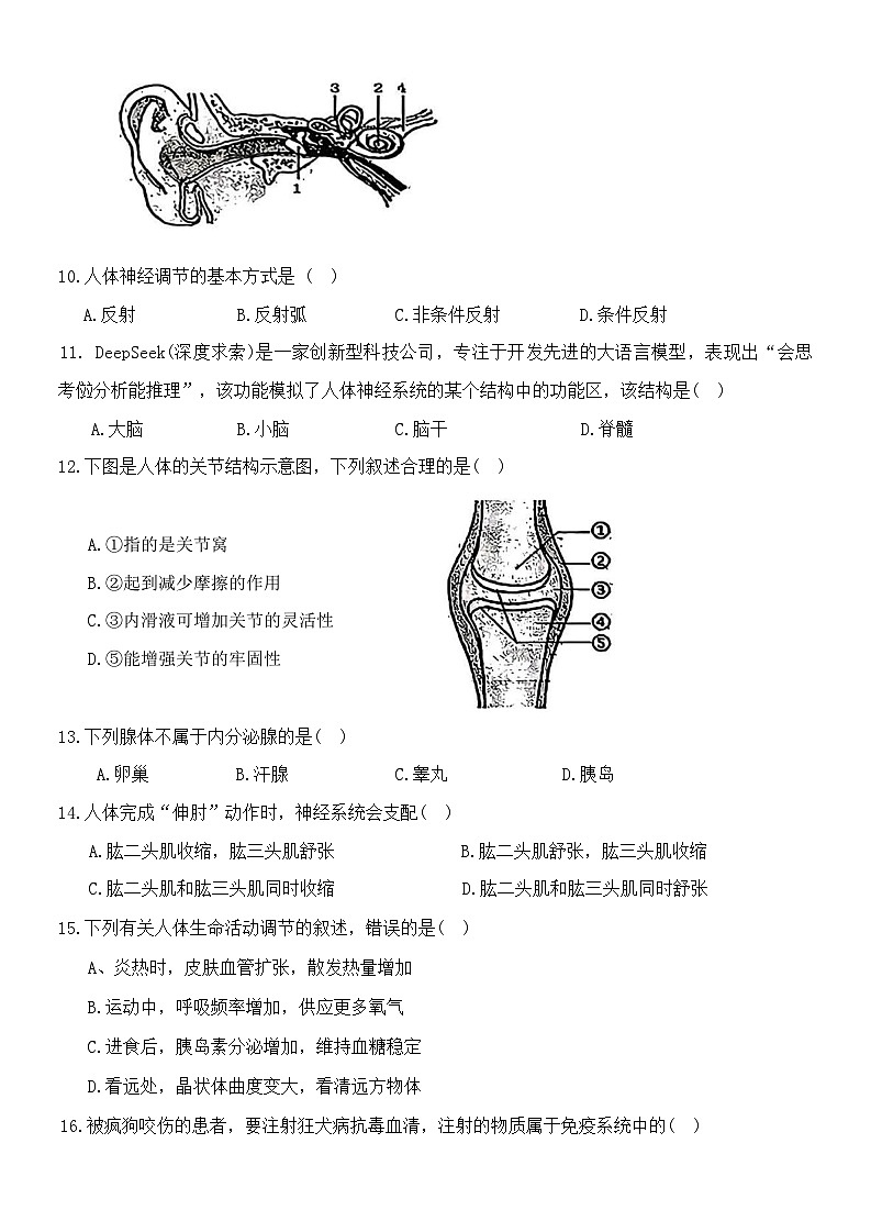 吉林省长春市第七十二中学2025-2026学年八年级上学期期中考试生物试题第2页