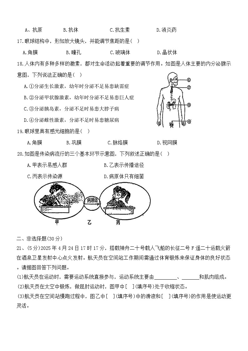吉林省长春市第七十二中学2025-2026学年八年级上学期期中考试生物试题第3页