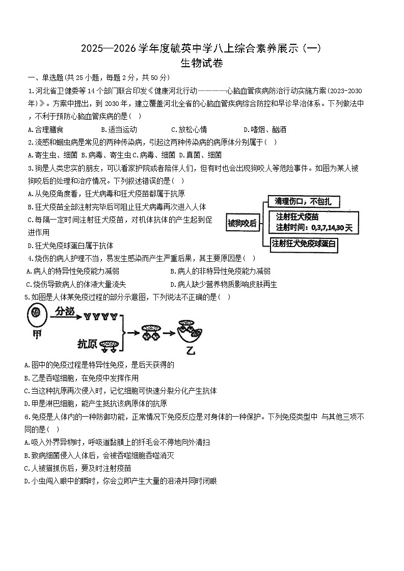 福建省莆田市秀屿区毓英中学2025-2026学年八年级上学期第一次月考生物试题第1页