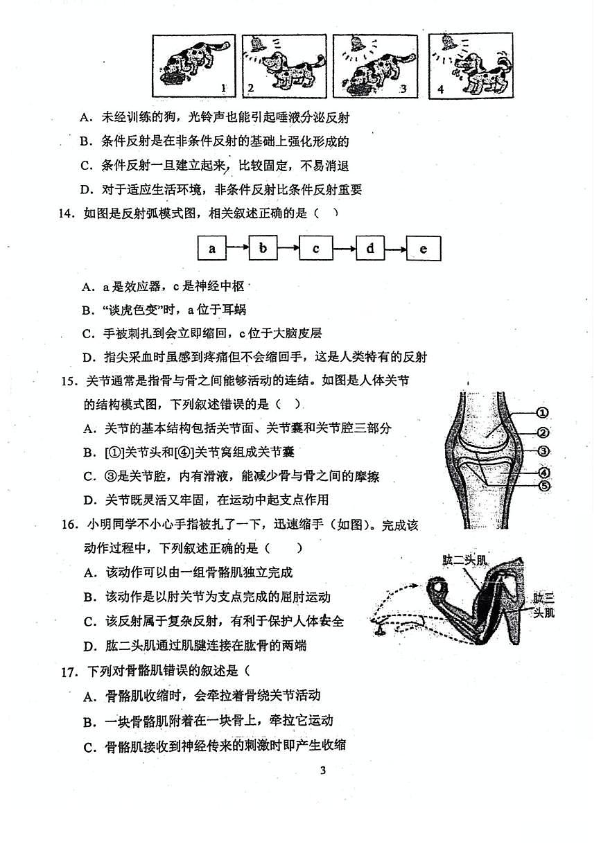广东省江门市鹤山市沙坪中学2025-2026学年八年级上学期10月月考生物试题第3页