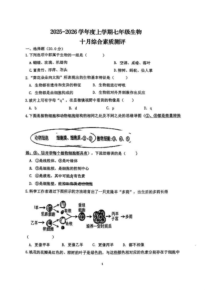 湖北省襄阳市老河口市张集中学2025-2026学年七年级上学期10月月考生物试题、参考答案及解析 湖北省襄阳市老河口市张集中学2025-2026学年七年级上学期10月月考生物试题第1页