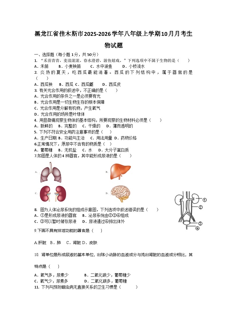 黑龙江省佳木斯市同江市多校联考2025-2026学年八年级上学期10月月考生物试题第1页