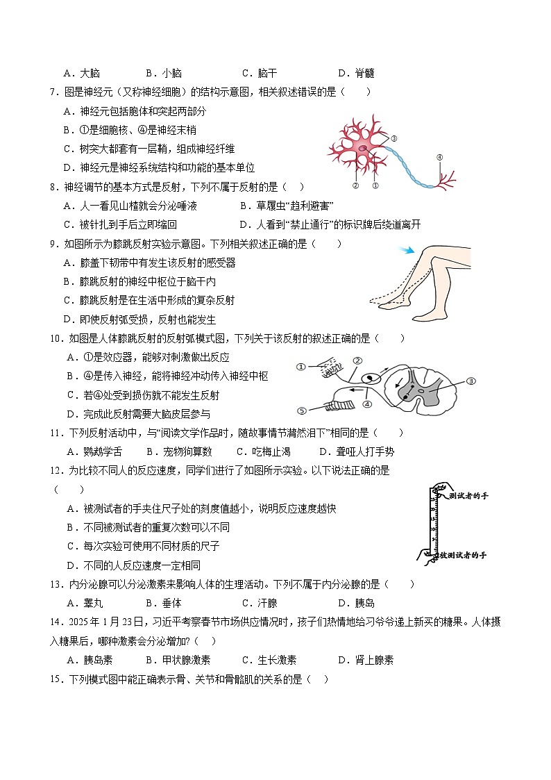 八年级生物上学期期中模拟卷01（新教材人教版）（考试版A4）第2页
