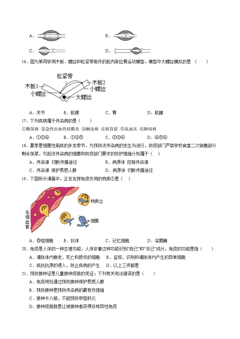 八年级生物上学期期中模拟卷01（新教材人教版）（考试版A4）第3页