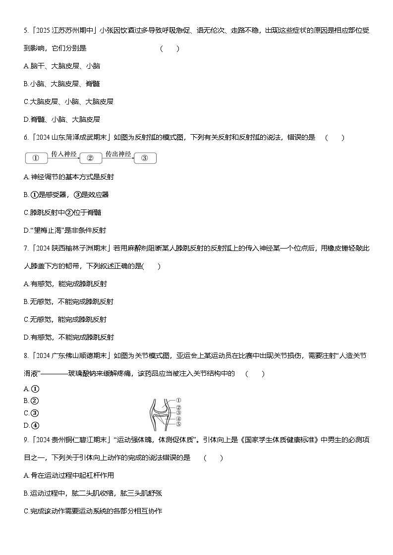 期中综合测试(二) 2025-2026学年人教版八年级生物上册第2页