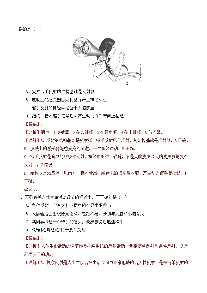 6.1.3 反射是神经调节的基本方式（分层作业）（解析版）第2页