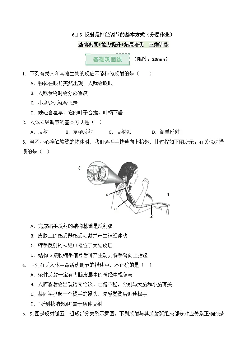 6.1.3 反射是神经调节的基本方式（分层作业）（原卷版）第1页