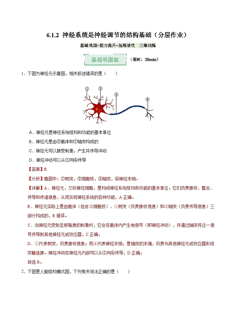 6.1.2 神经系统是神经调节的结构基础（分层作业）（解析版）第1页