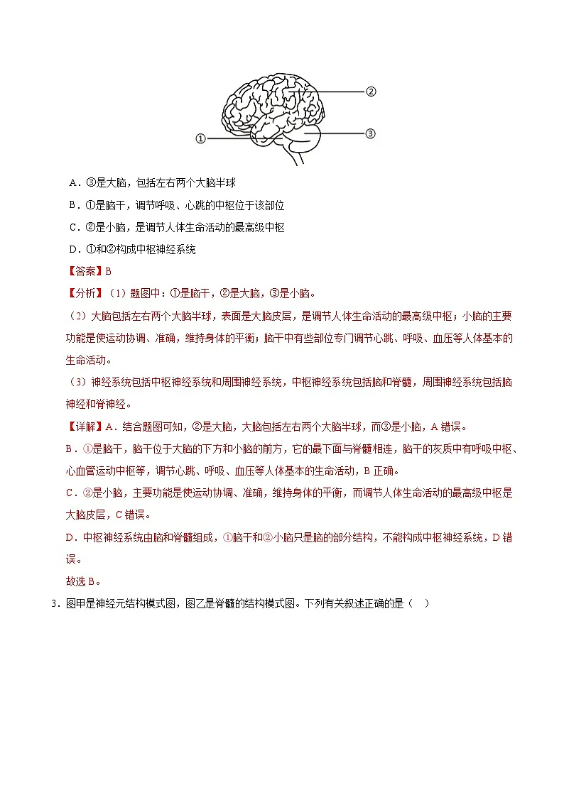 6.1.2 神经系统是神经调节的结构基础（分层作业）（解析版）第2页