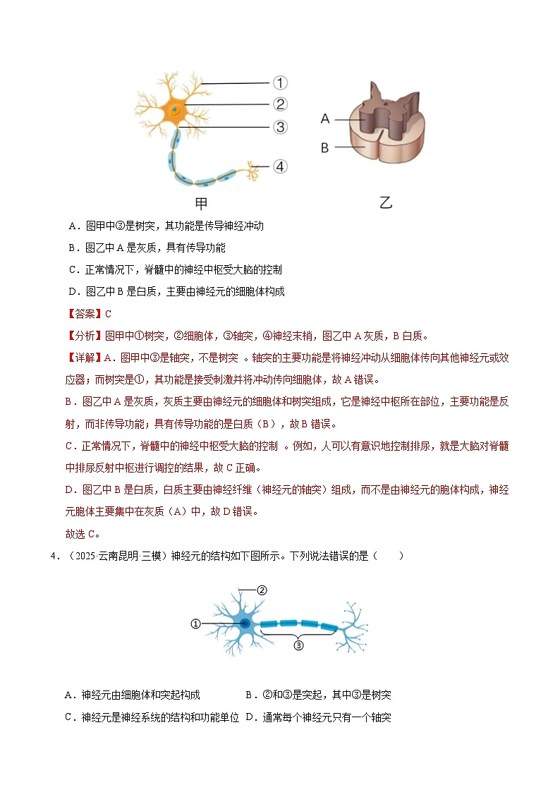 6.1.2 神经系统是神经调节的结构基础（分层作业）（解析版）第3页