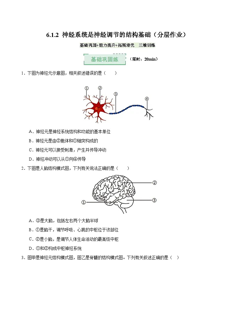 6.1.2 神经系统是神经调节的结构基础（分层作业）（原卷版）第1页