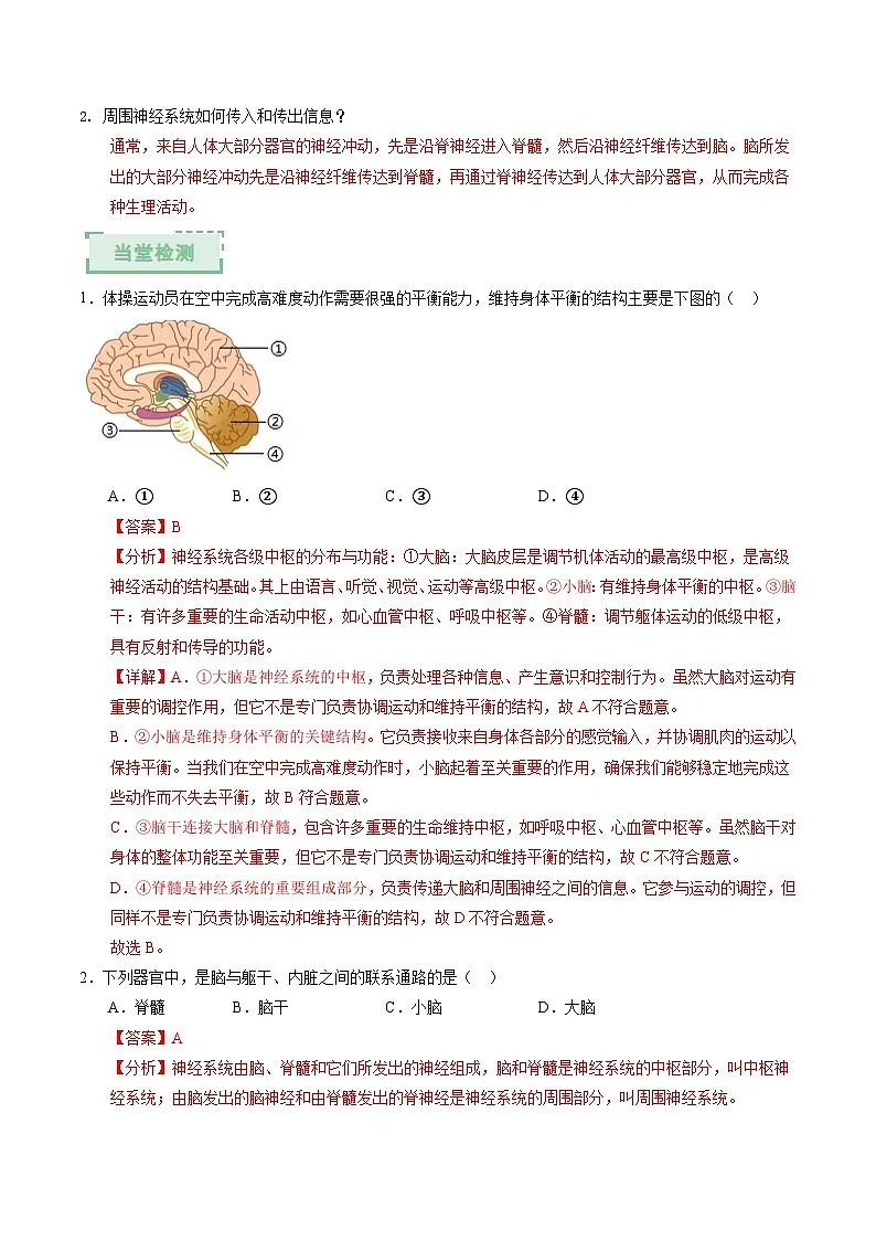 6.1.2 神经系统是神经调节的结构基础 第2课时（导学案）（解析版） 第3页