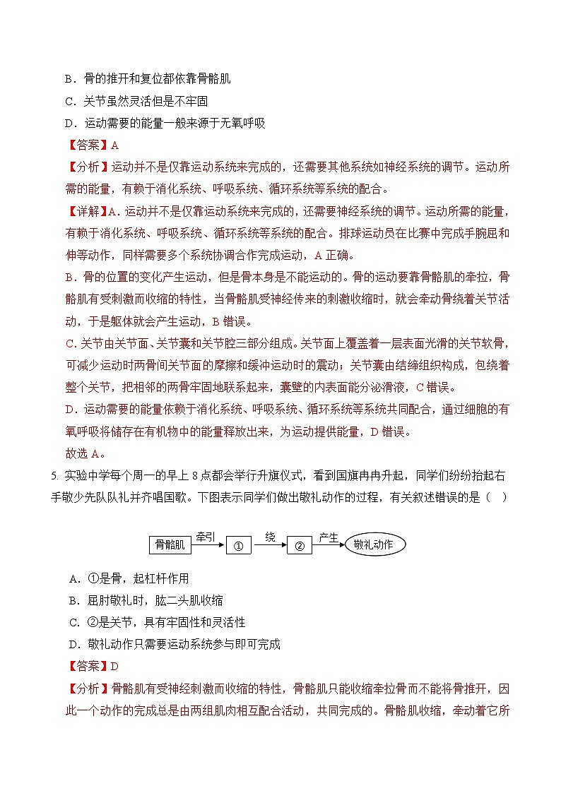 6.1.4 人体运动离不开神经系统的支配（分层作业）（解析版）第3页