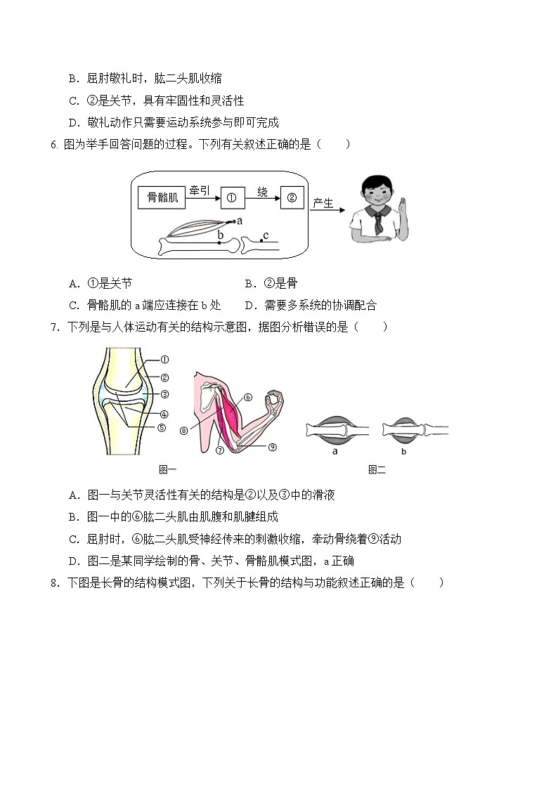 6.1.4 人体运动离不开神经系统的支配（分层作业）（原卷版）第2页