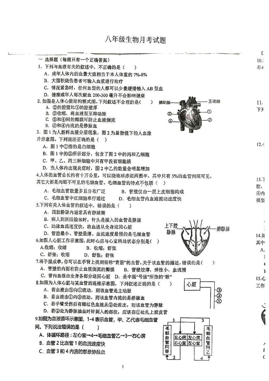 江苏省徐州市沛县汉源中学联盟学区2025-2026学年七年级上学期10月月考生物试题第1页