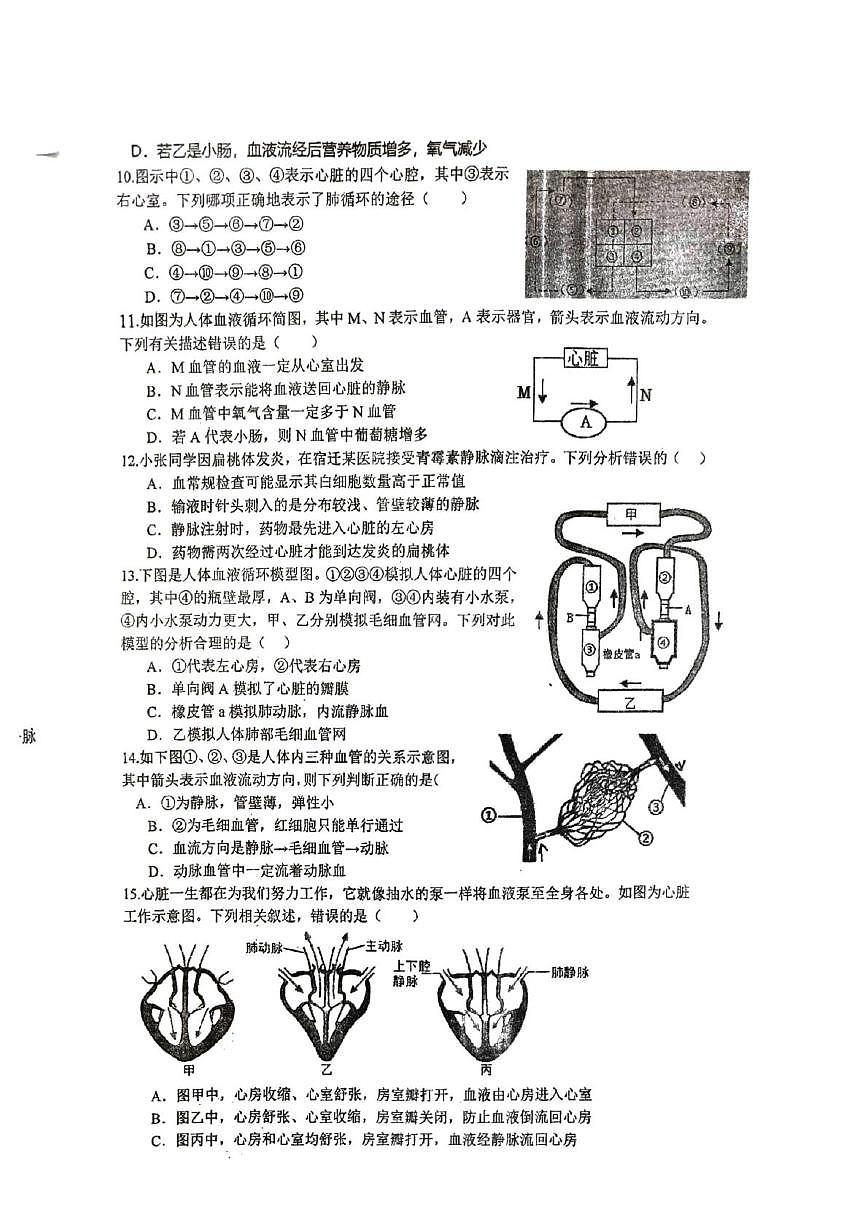 江苏省徐州市沛县汉源中学联盟学区2025-2026学年七年级上学期10月月考生物试题第2页