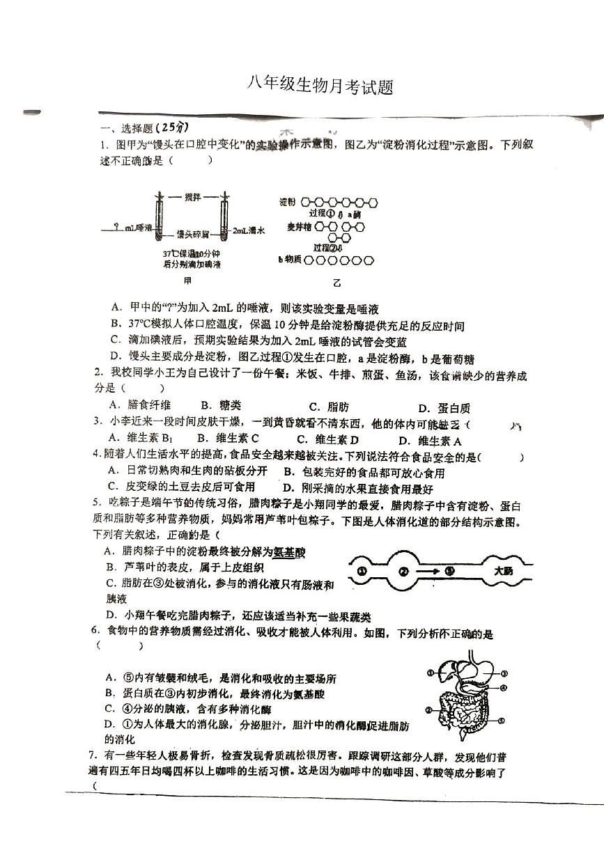 江苏省徐州市沛县树人学校联盟学区2025-2026学年八年级上学期10月月考生物试题第1页