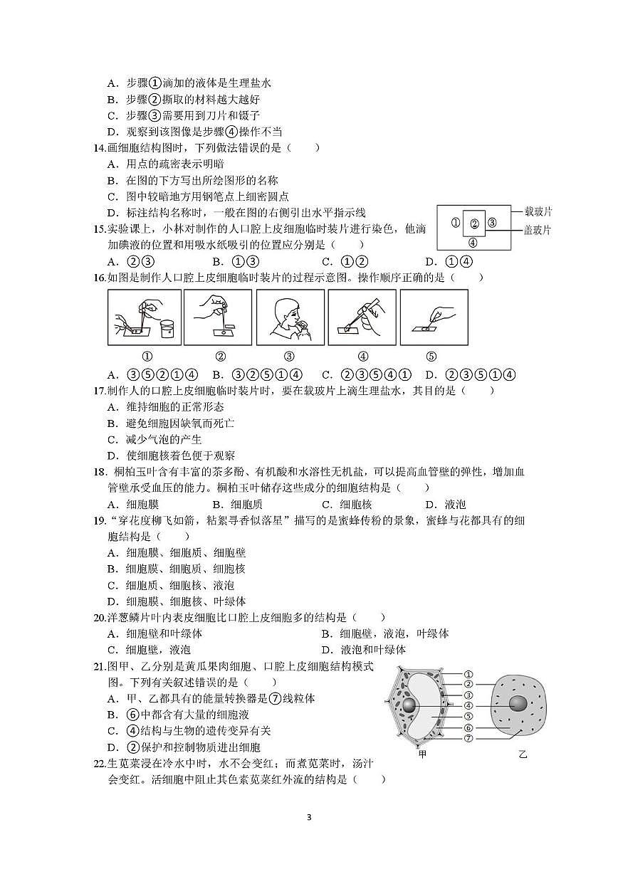 四川省荣县第一中学2025-2026学年七年级上学期第一次月考生物试题第3页