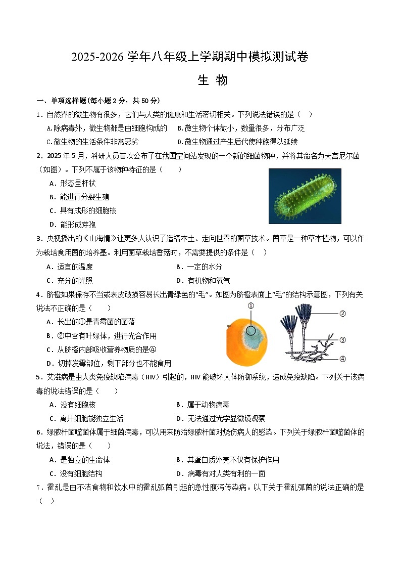 河南省安阳市第五中学2025-2026学年八年级上学期期中模拟生物试卷第1页
