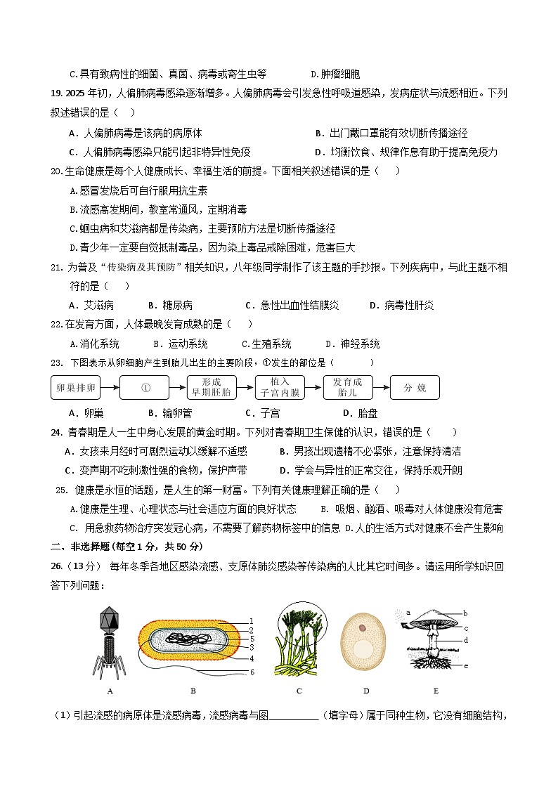 河南省安阳市第五中学2025-2026学年八年级上学期期中模拟生物试卷第3页