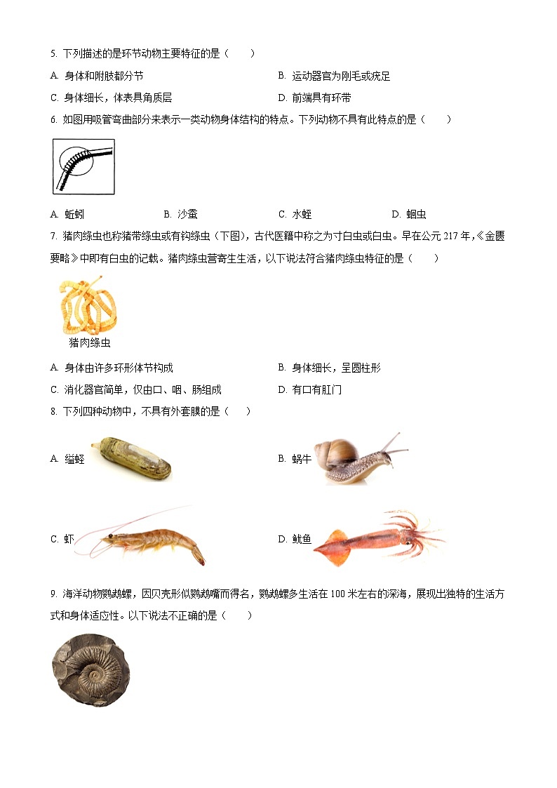 精品解析：广东省深圳市宝安区七校联考2024-2025学年八年级上学期期中生物试题（原卷版）无答案第2页