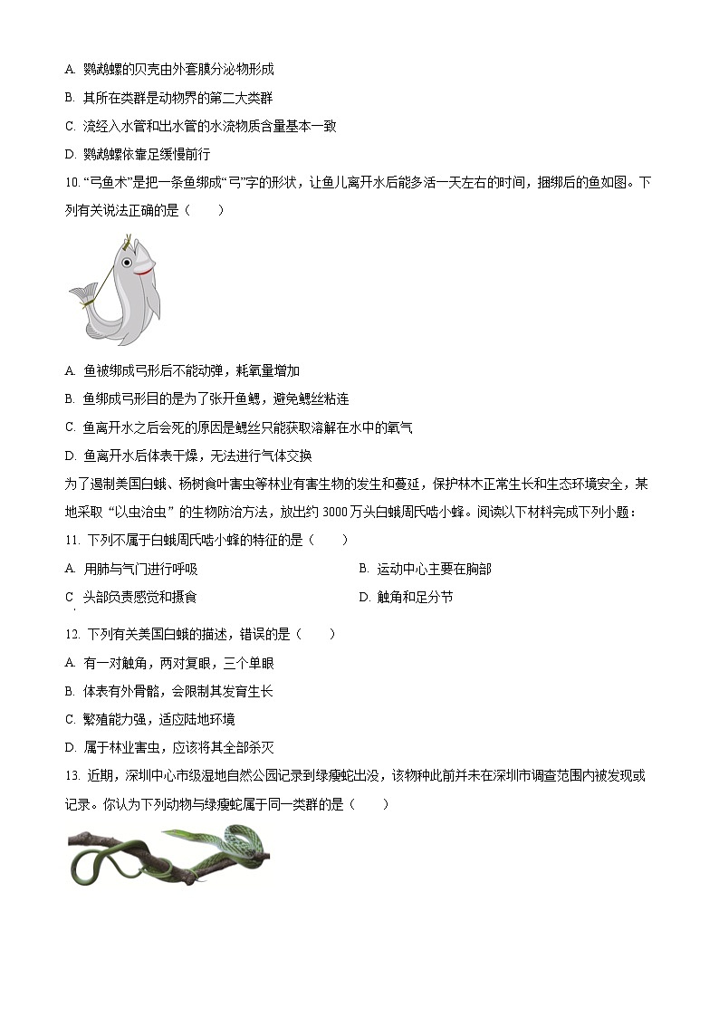 精品解析：广东省深圳市宝安区七校联考2024-2025学年八年级上学期期中生物试题（原卷版）无答案第3页