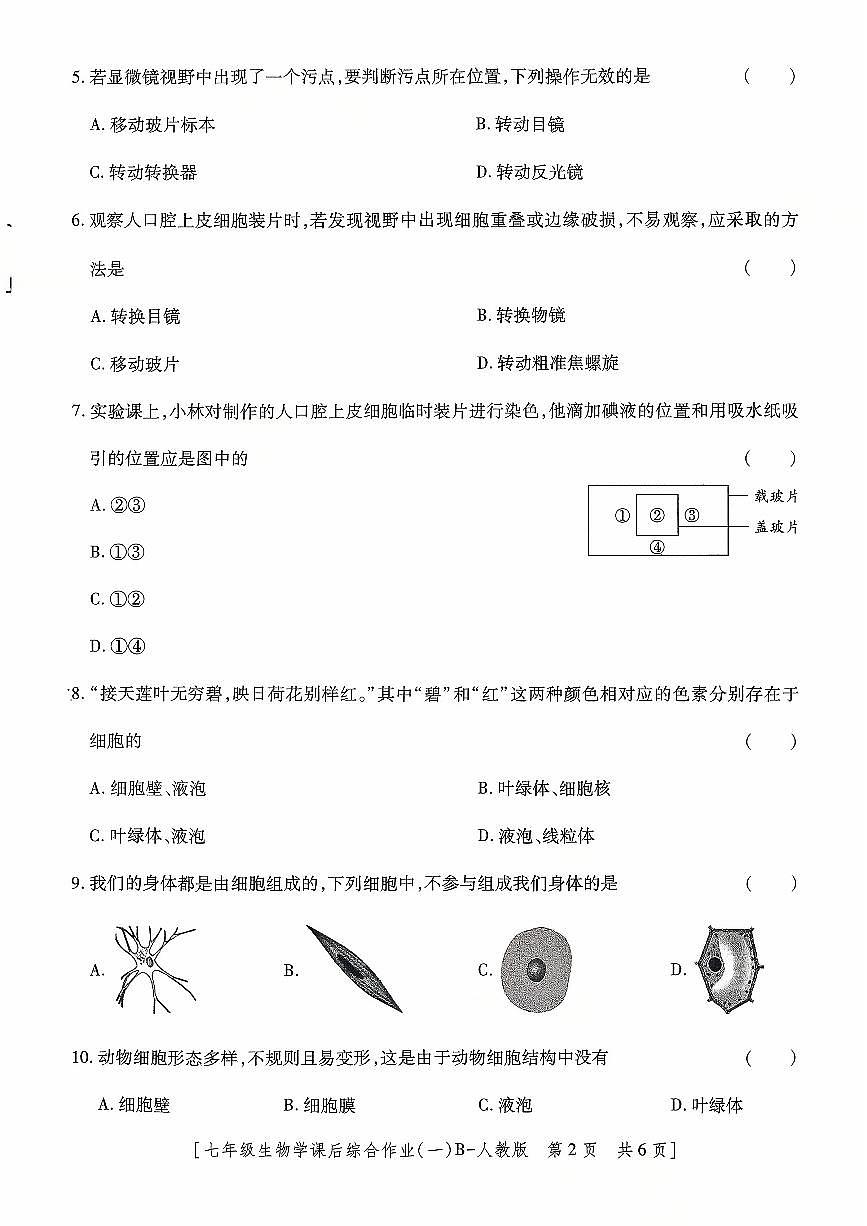 陕西省咸阳市永寿县常宁镇中学2025-2026学年七年级上学期生物学课后综合作业（一） （月考）第2页
