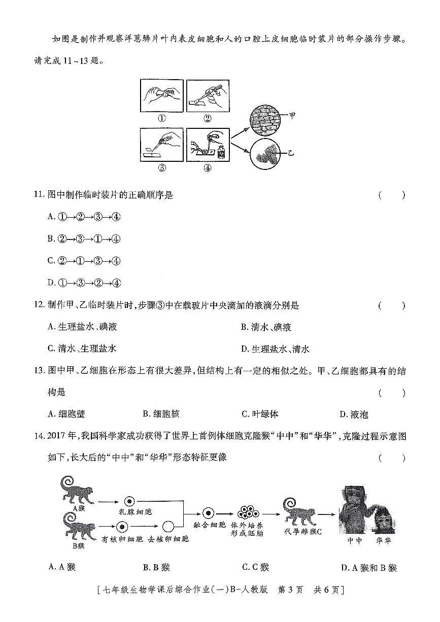 陕西省咸阳市永寿县常宁镇中学2025-2026学年七年级上学期生物学课后综合作业（一） （月考）第3页