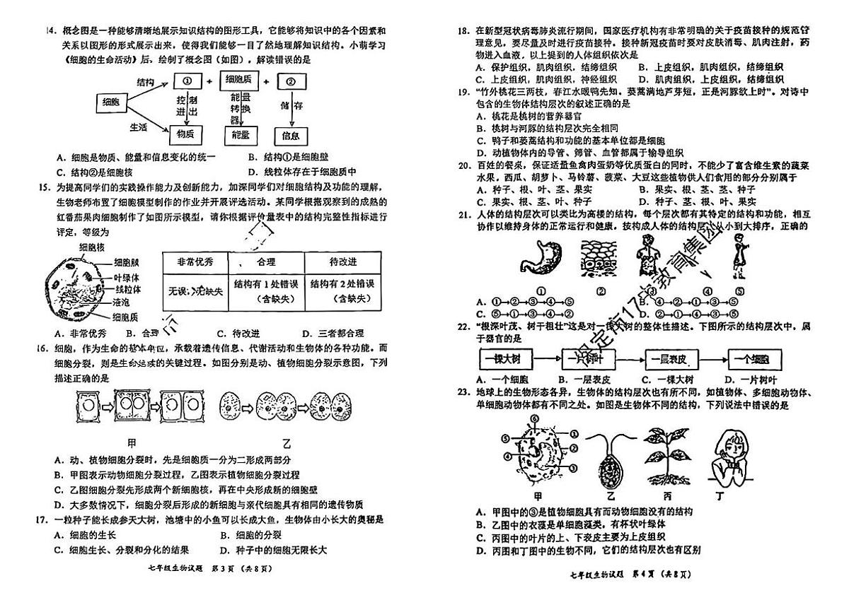 河北省保定市第十七中学2024--2025学年七年级上学期期中考试生物试卷、答案及解析 河北省保定市第十七中学2024--2025学年七年级上学期期中考试生物试卷第2页