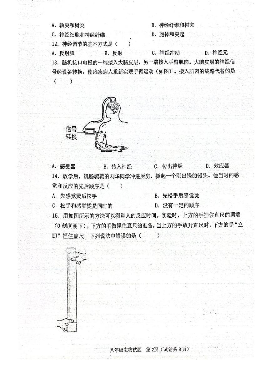 广东省江门市二中2025-2026学年八年级上学期月考生物试题(含答案) 广东省江门市二中2025-2026学年八年级上学期月考生物试题第2页